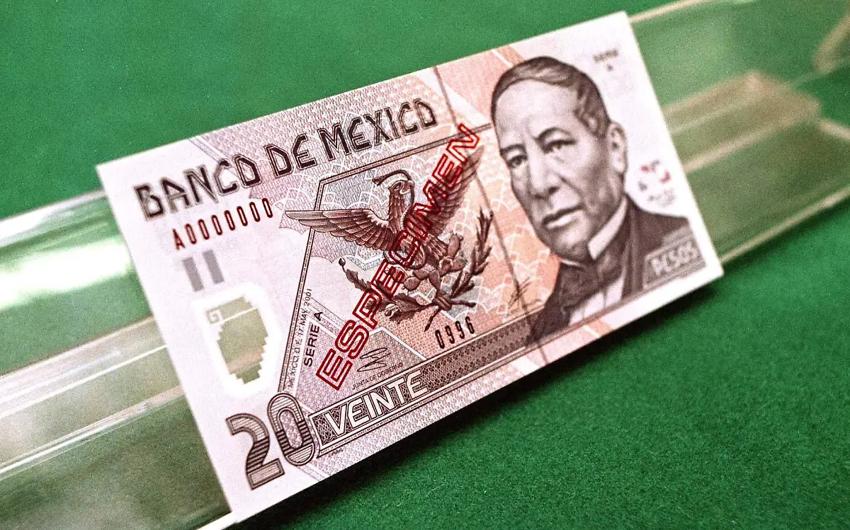 Los billetes en México estan divididos por familias